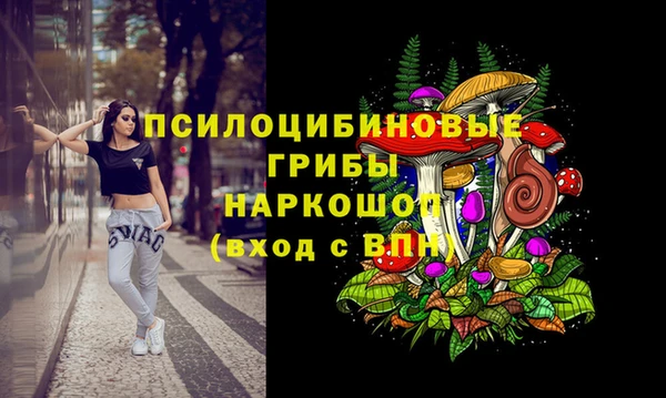 героин Абаза